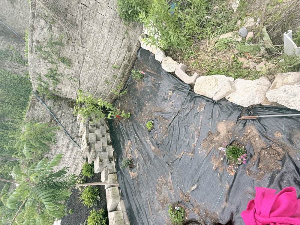 Mulch vs Rock